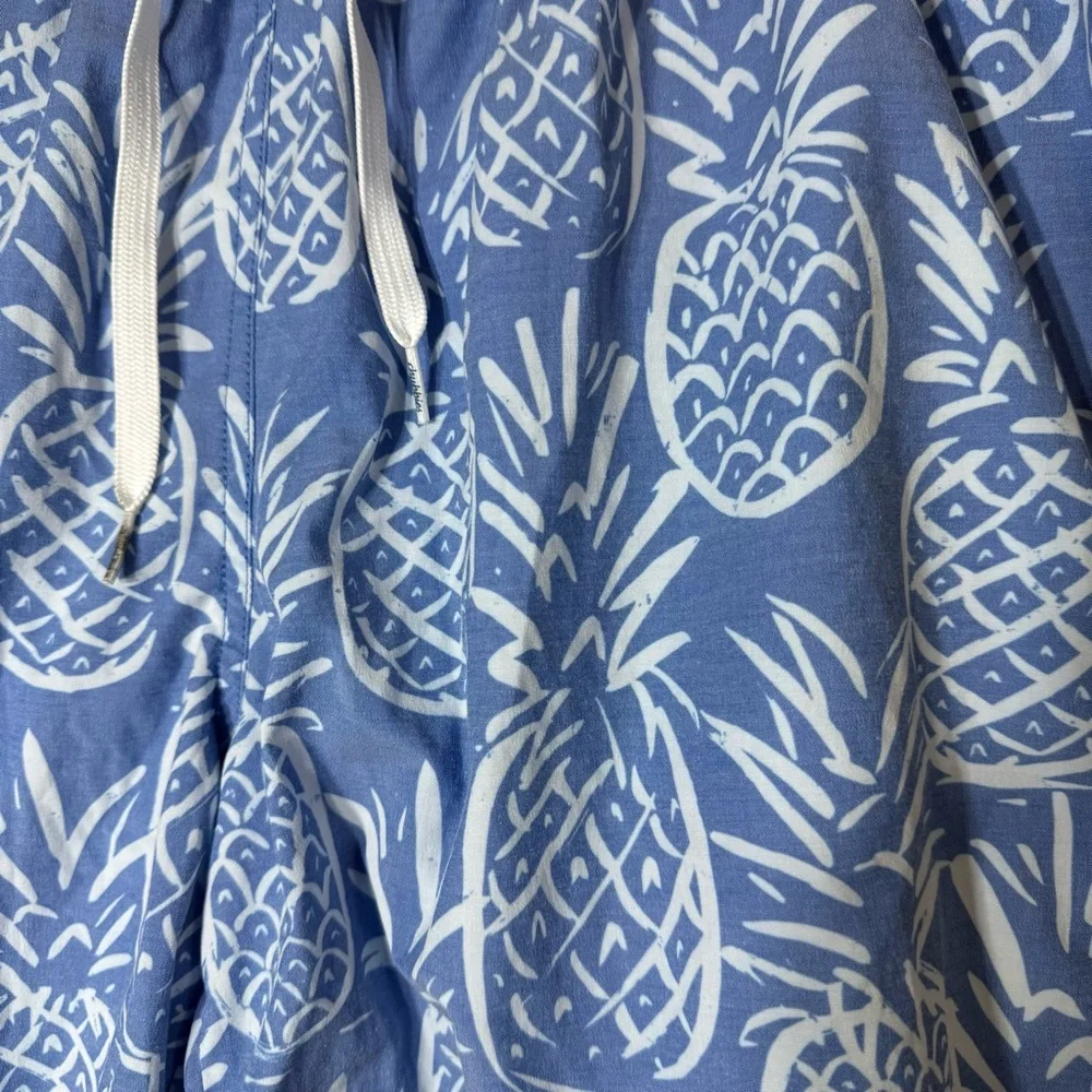 Chubbies Swim Trunks XXL Pineapples‎ Blue White Thigh Napples Mesh Lined